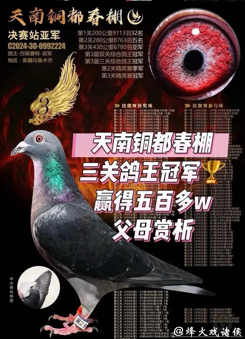 2200万天价“神奇小鸟”背后：恒源詹姆士黄永源的赛鸽王朝